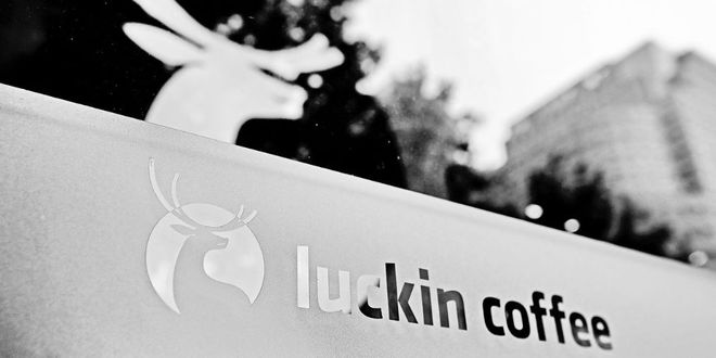 浑水公司有哪些(浑水公司有哪些职位)