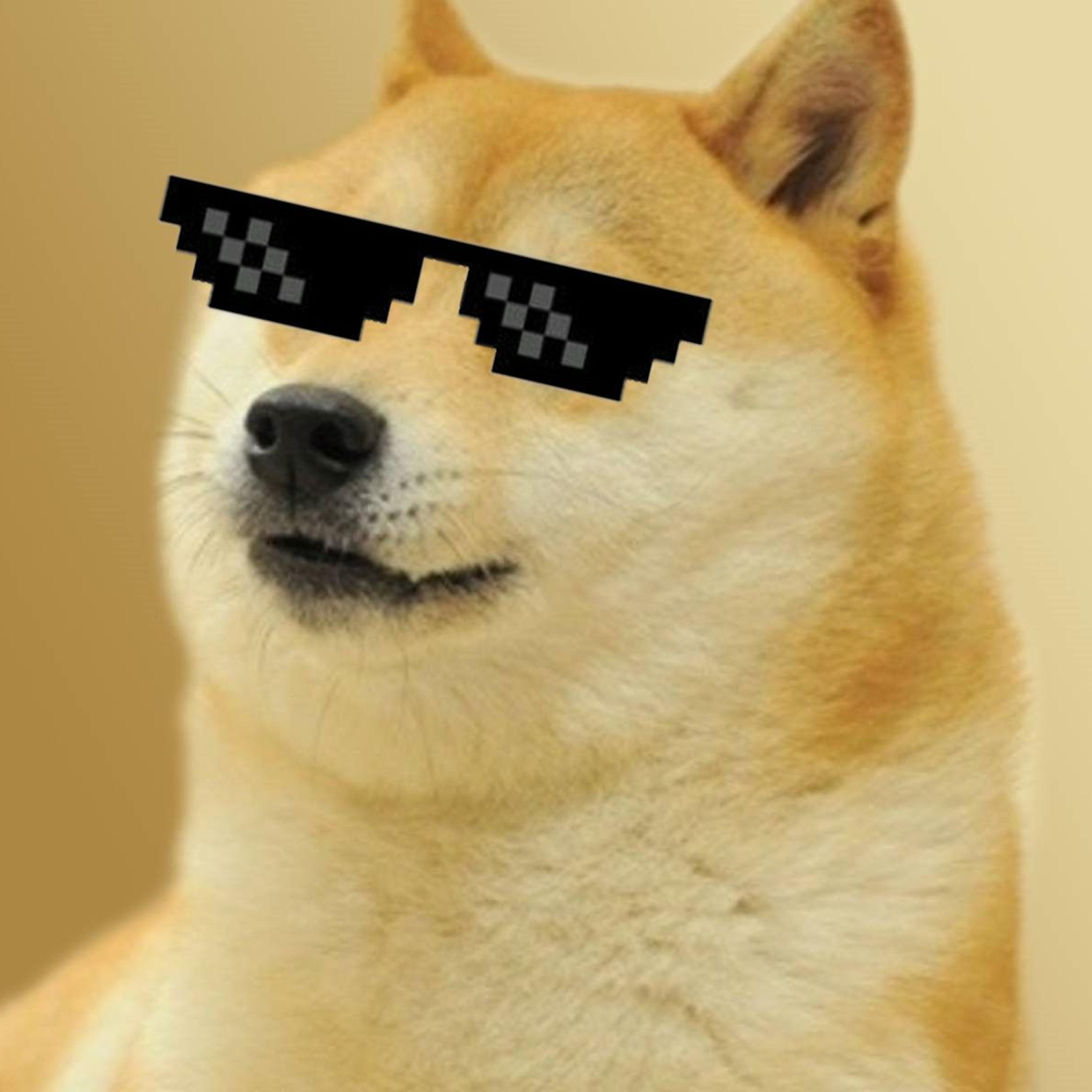 doge今日行情(dogecoin今天行情) doge今日行情(dogecoin今天行情)
