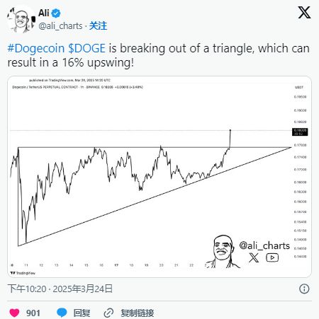 dogecoin怎么买(dogecoin 怎么买)