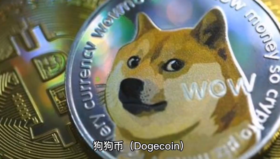 狗币官网(狗币官网矿池)