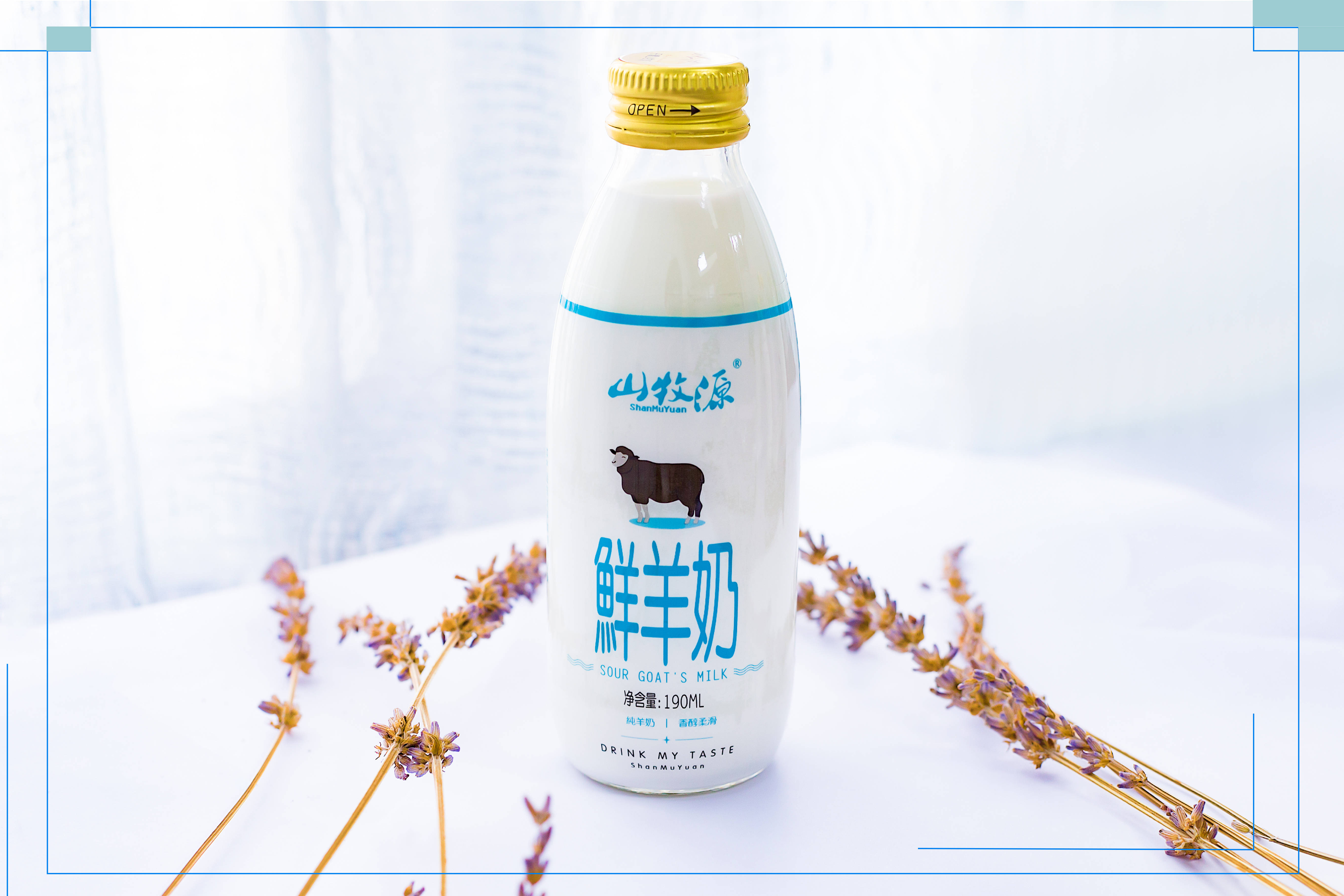 成品奶有哪些(成品奶有哪些品种)