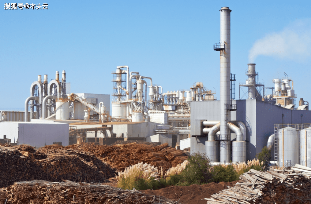 纸浆生产哪些国家(纸浆主要生产国)