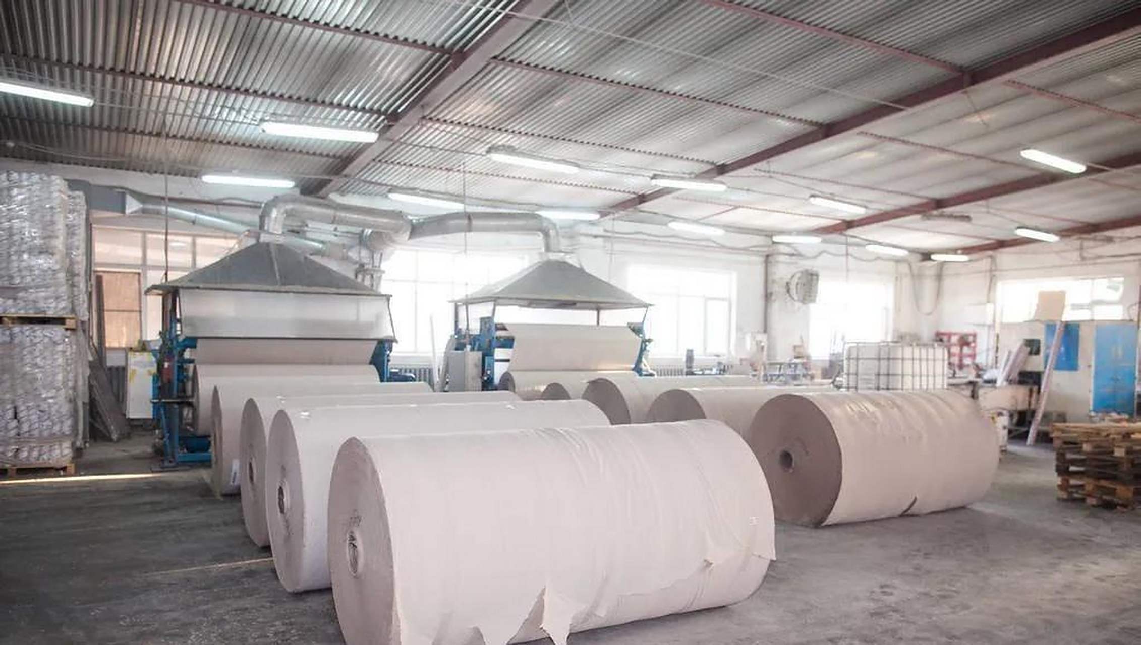 纸浆生产哪些国家(纸浆主要生产国)