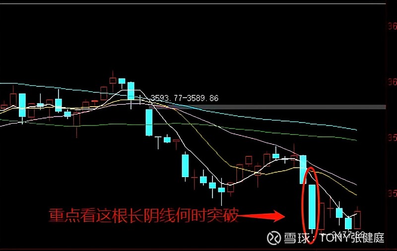 元宇宙走势分析(元宇宙利好) 元宇宙走势分析(元宇宙利好)
